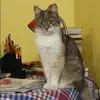 Отзыв от Анна Лебедева